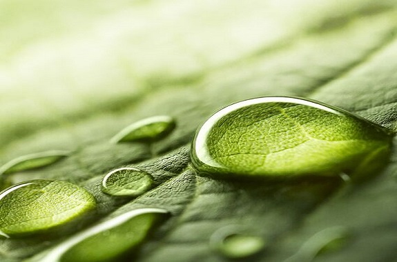  Legal case study_drops of water on a green background