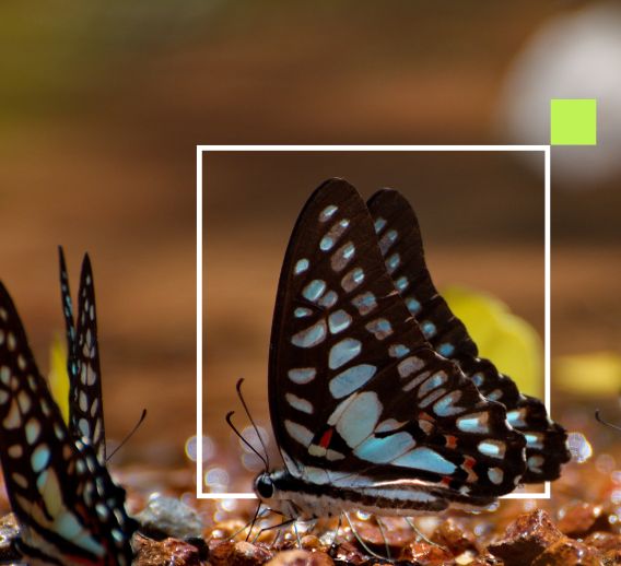  Digital Transformation