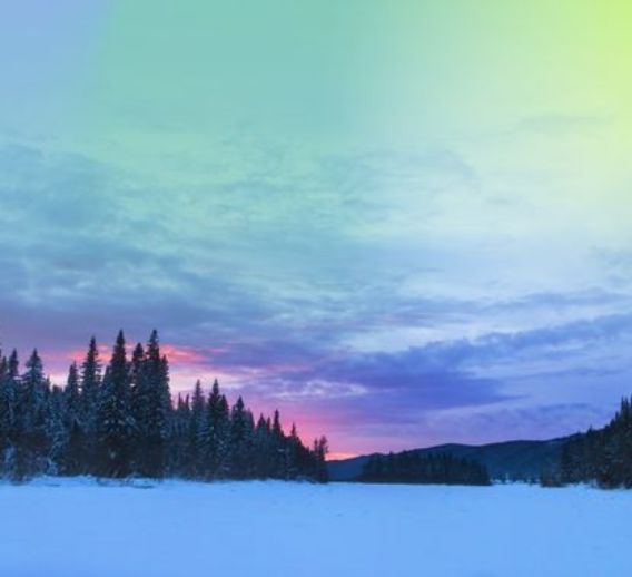  Financial Times Meet the Innovators Q&A series