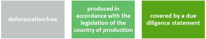image-20240617152804-1 image-20240617152804-1