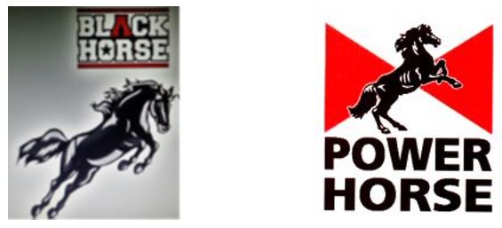 BlackHorse BlackHorse